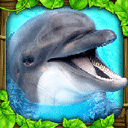 海豚模拟器