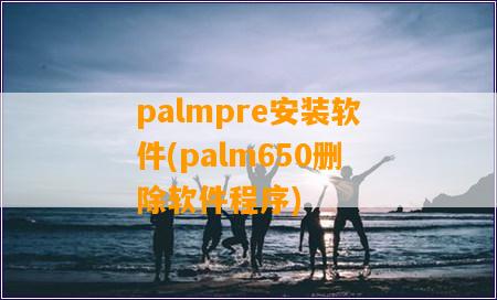palmpre安装软件(palm650删除软件程序)